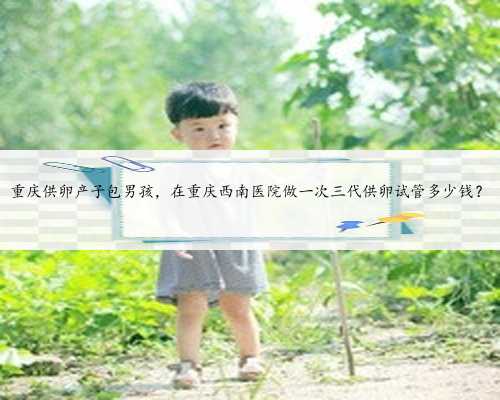 重庆供卵产子包男孩，在重庆西南医院做一次三代供卵试管多少钱？